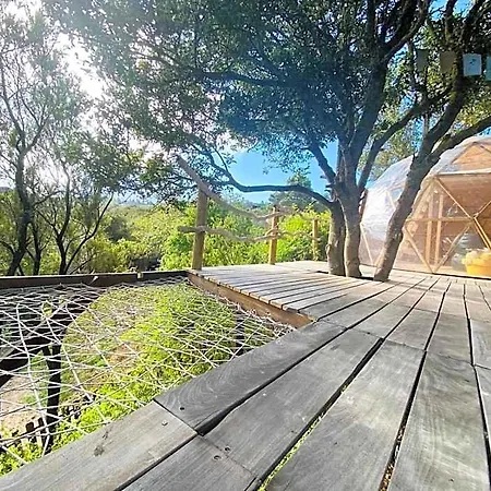 Eco-resort Domo Maestra * Buenavista Del Norte