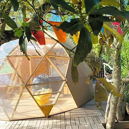 Eco-resort Domo Maestra Buenavista Del Norte