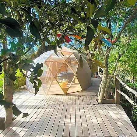 Eco-resort Domo Maestra *