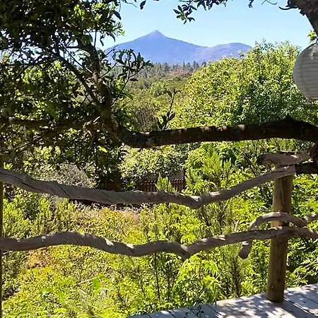Eco-resort Domo Maestra Hotel *